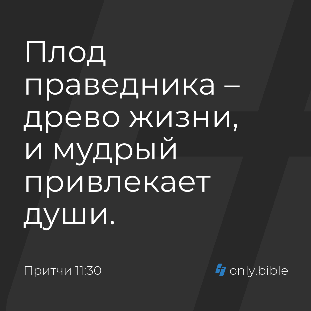 Притчи 11:30 / Русский синодальный перевод (Юбилейное издание) | Библия  Онлайн