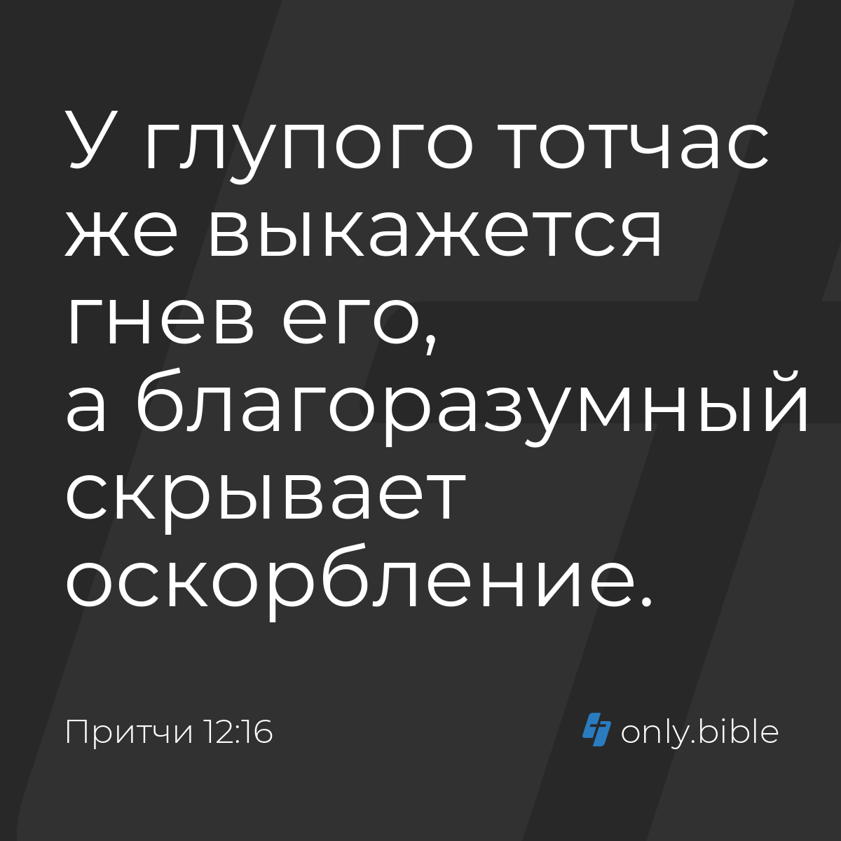 Притчи 12:16 / Русский синодальный перевод (Юбилейное издание) | Библия  Онлайн