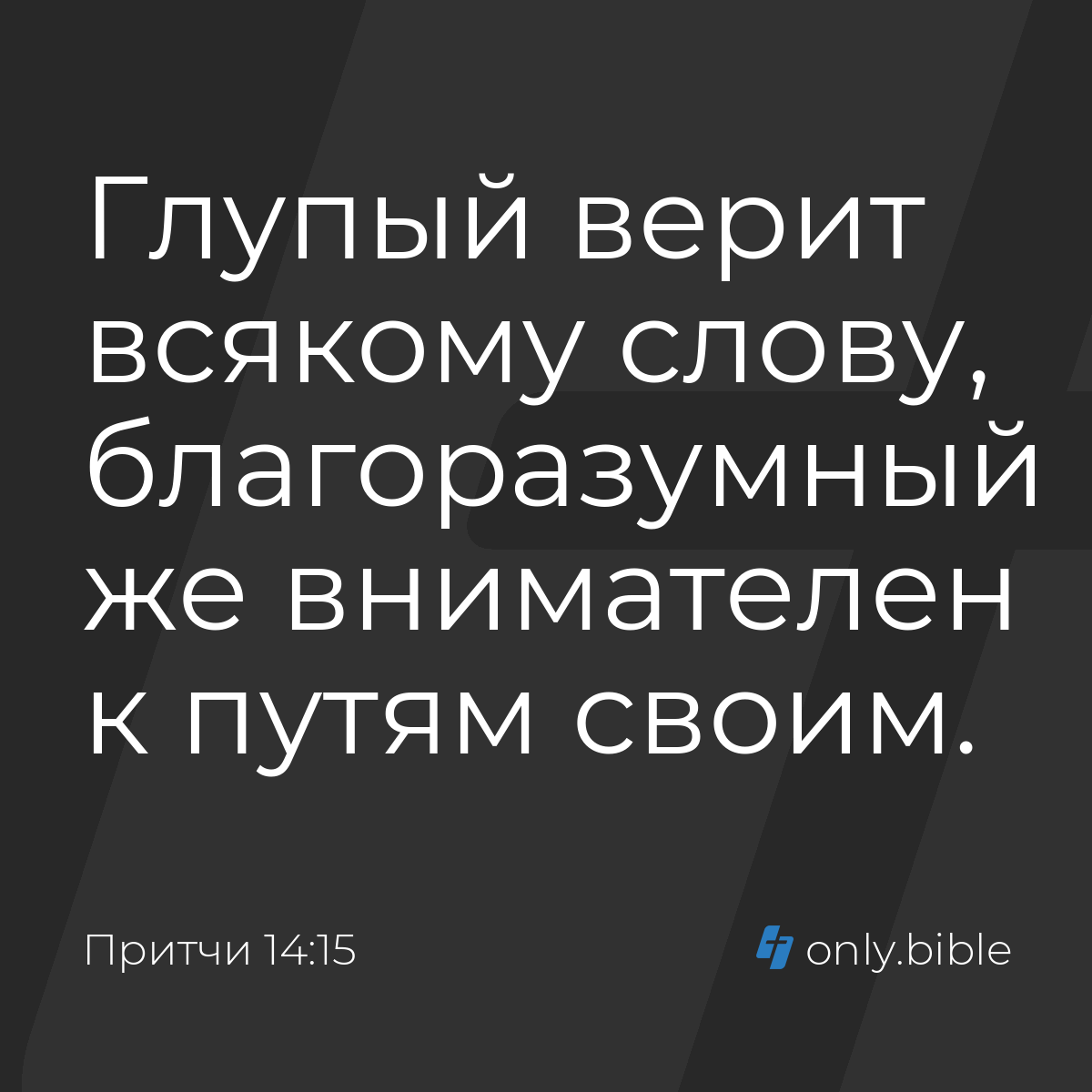 Притчи 14:15 / Русский синодальный перевод (Юбилейное издание) | Библия  Онлайн