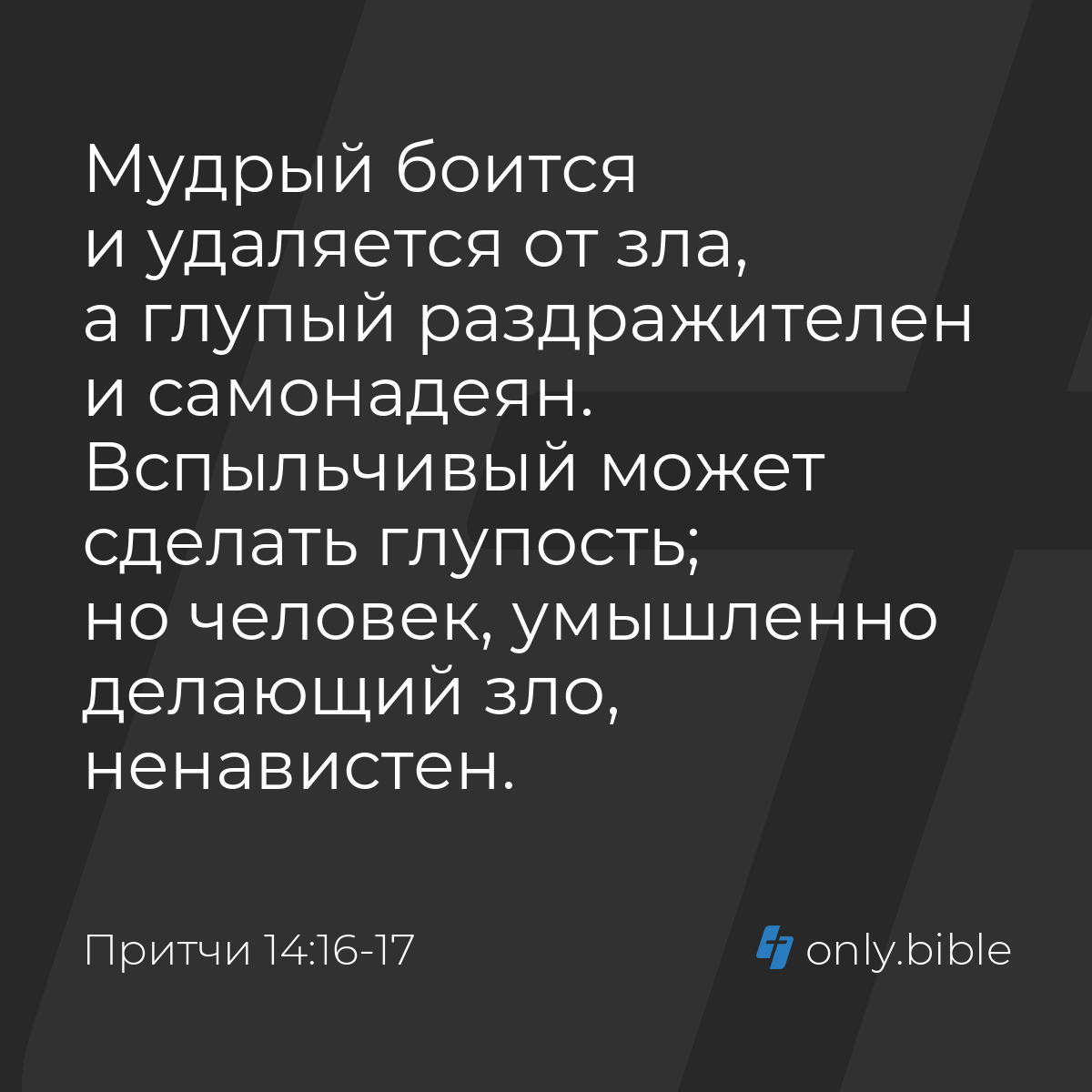 Притчи 14:16-17 / Русский синодальный перевод (Юбилейное издание) | Библия  Онлайн