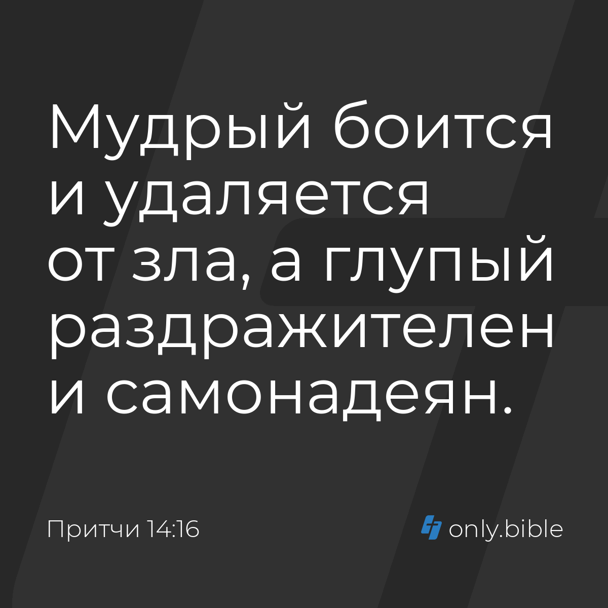 Притчи 14:16 / Русский синодальный перевод (Юбилейное издание) | Библия  Онлайн