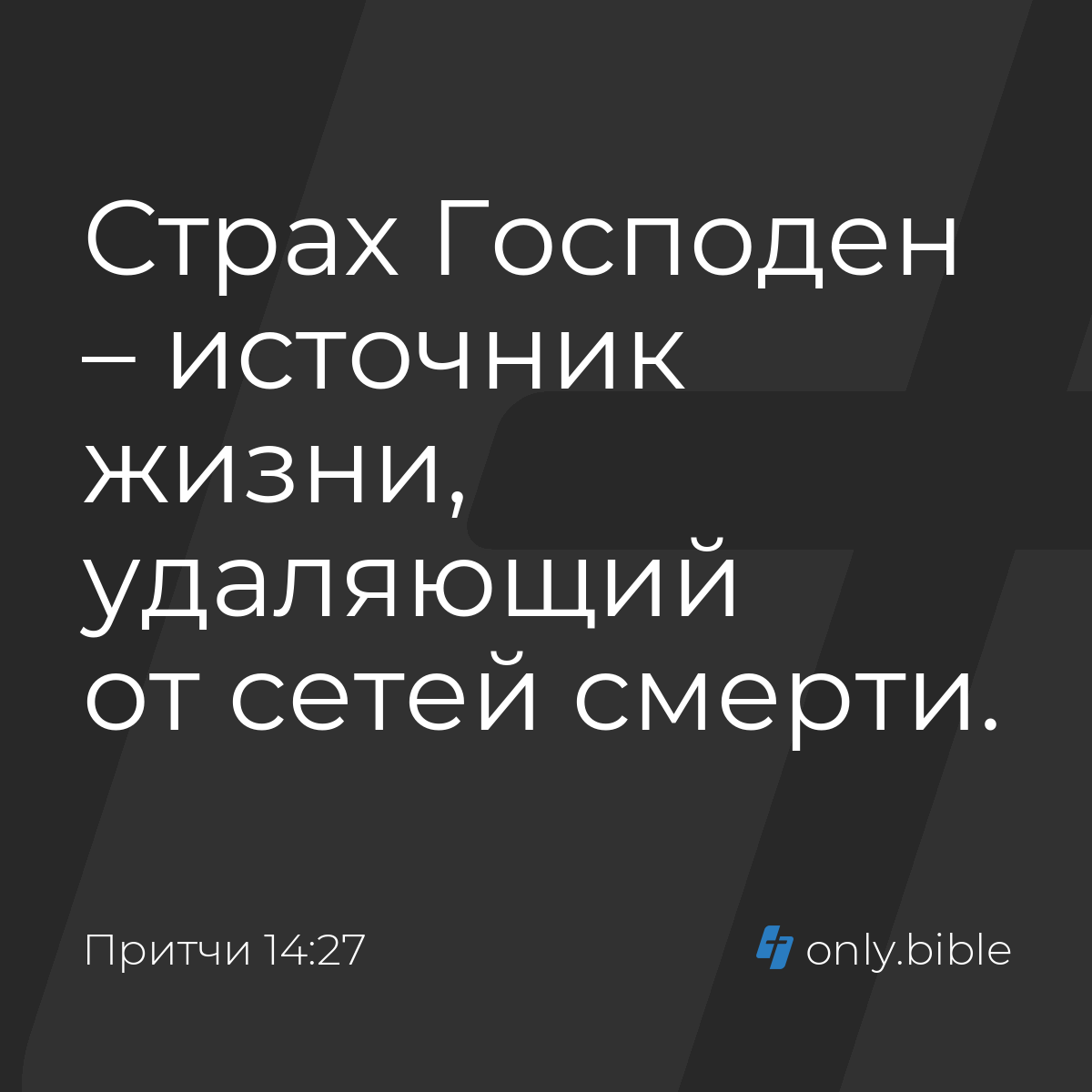 Притчи 14:27 / Русский синодальный перевод (Юбилейное издание) | Библия  Онлайн