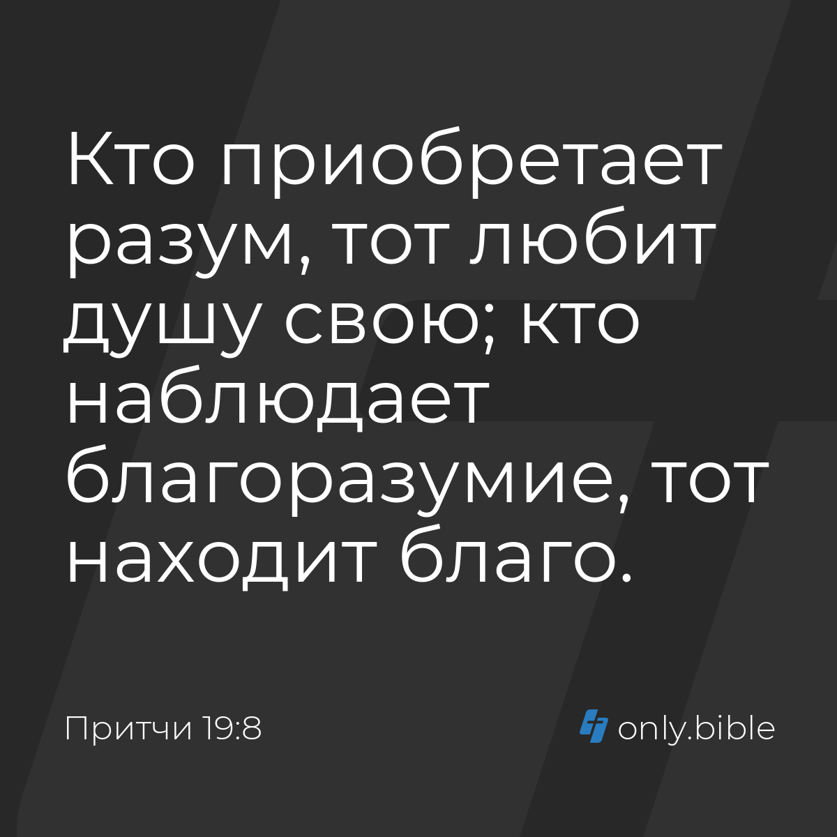 Притчи 19:8 / Русский синодальный перевод (Юбилейное издание) | Библия  Онлайн