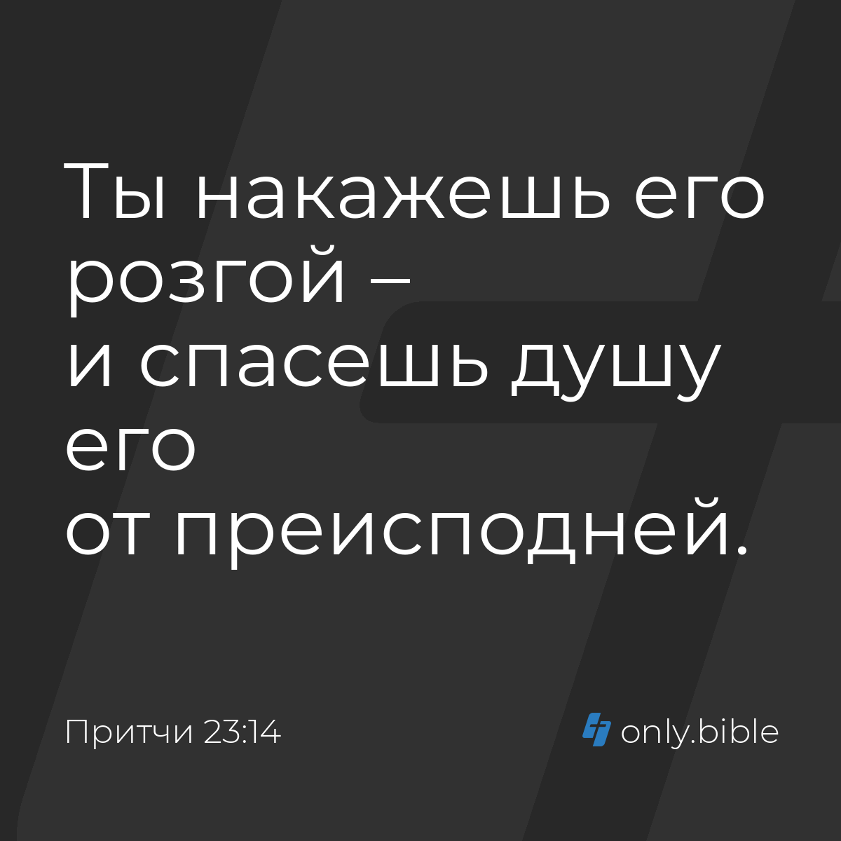 Притчи 23:14 / Русский синодальный перевод (Юбилейное издание) | Библия  Онлайн