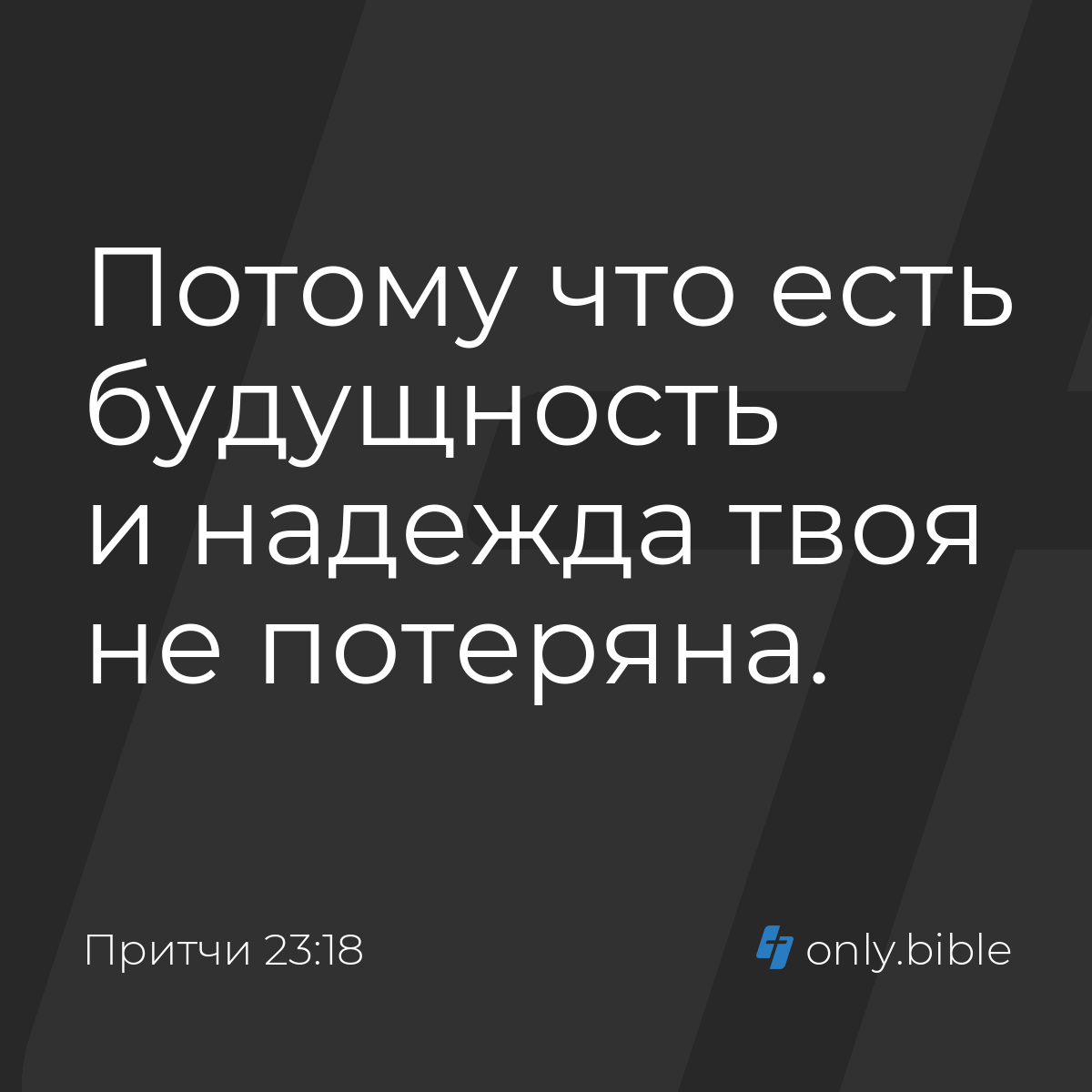 Перевод текстов