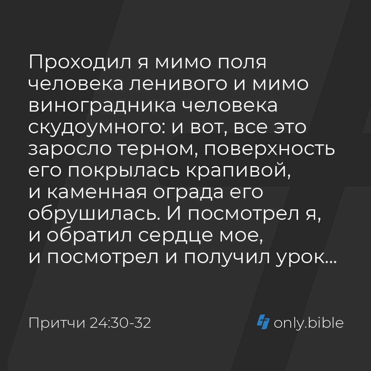 Притчи 24:30-32 / Русский синодальный перевод (Юбилейное издание) | Библия  Онлайн