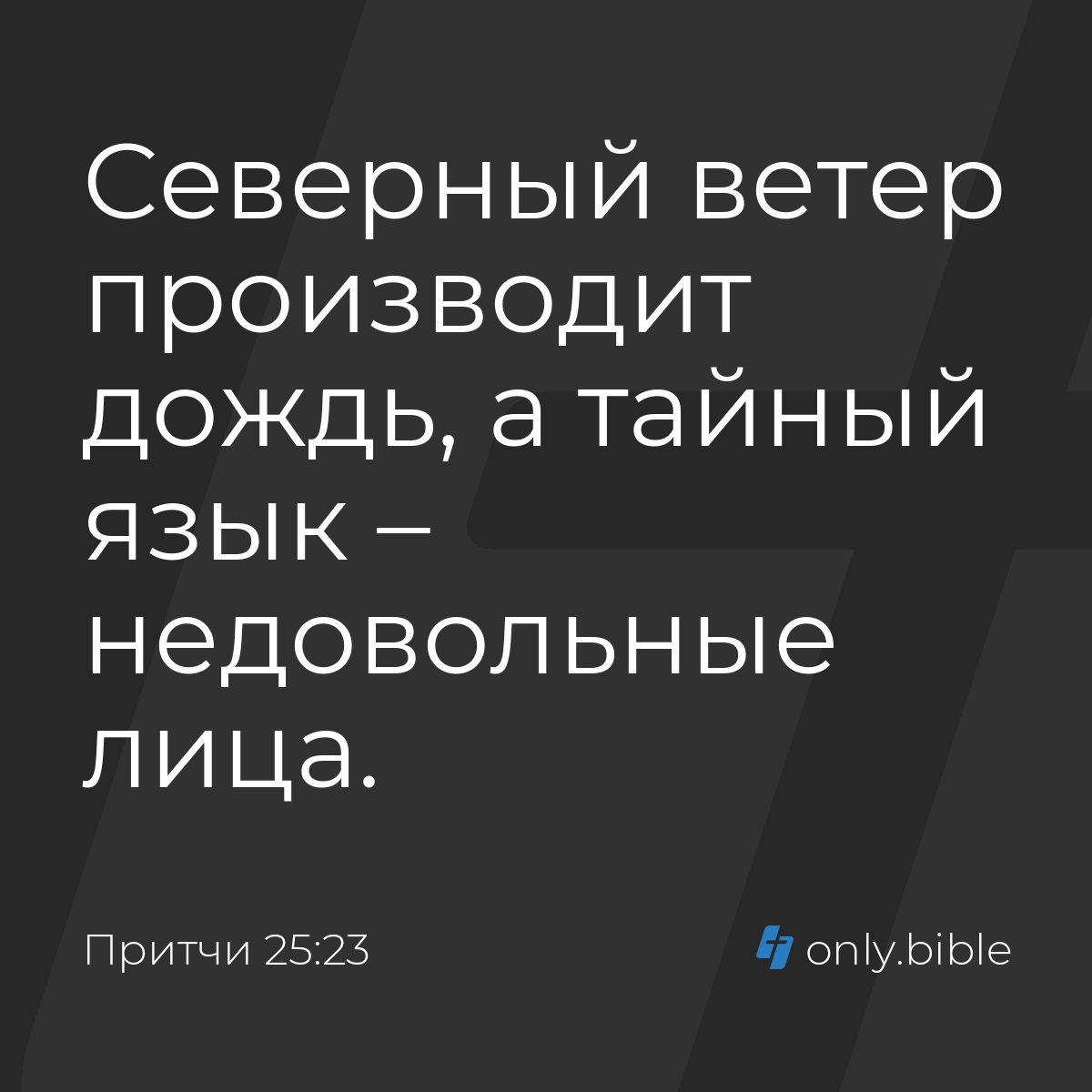 Притчи 25:23 / Русский синодальный перевод (Юбилейное издание) | Библия  Онлайн