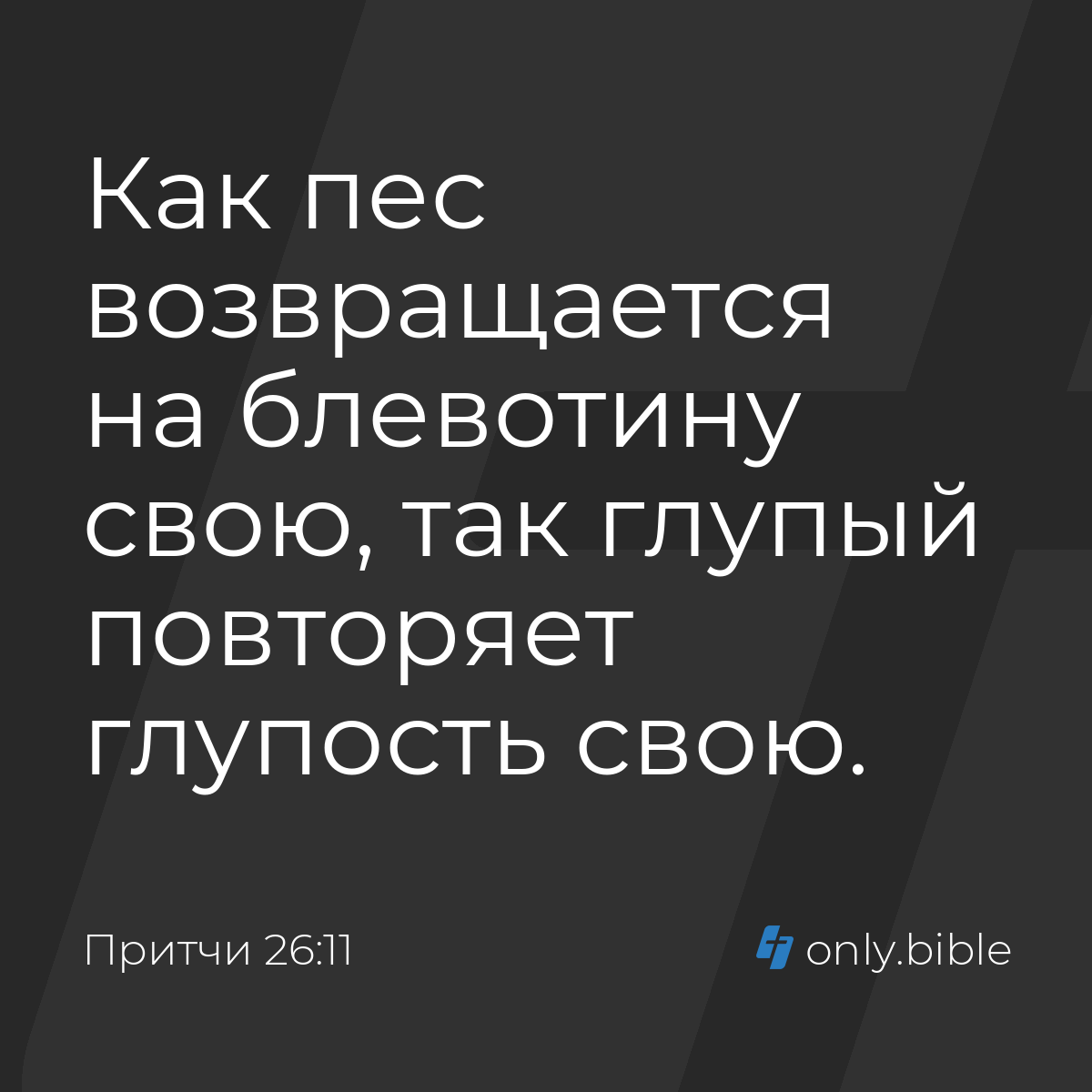 Притчи 26:11 / Русский синодальный перевод (Юбилейное издание) | Библия  Онлайн