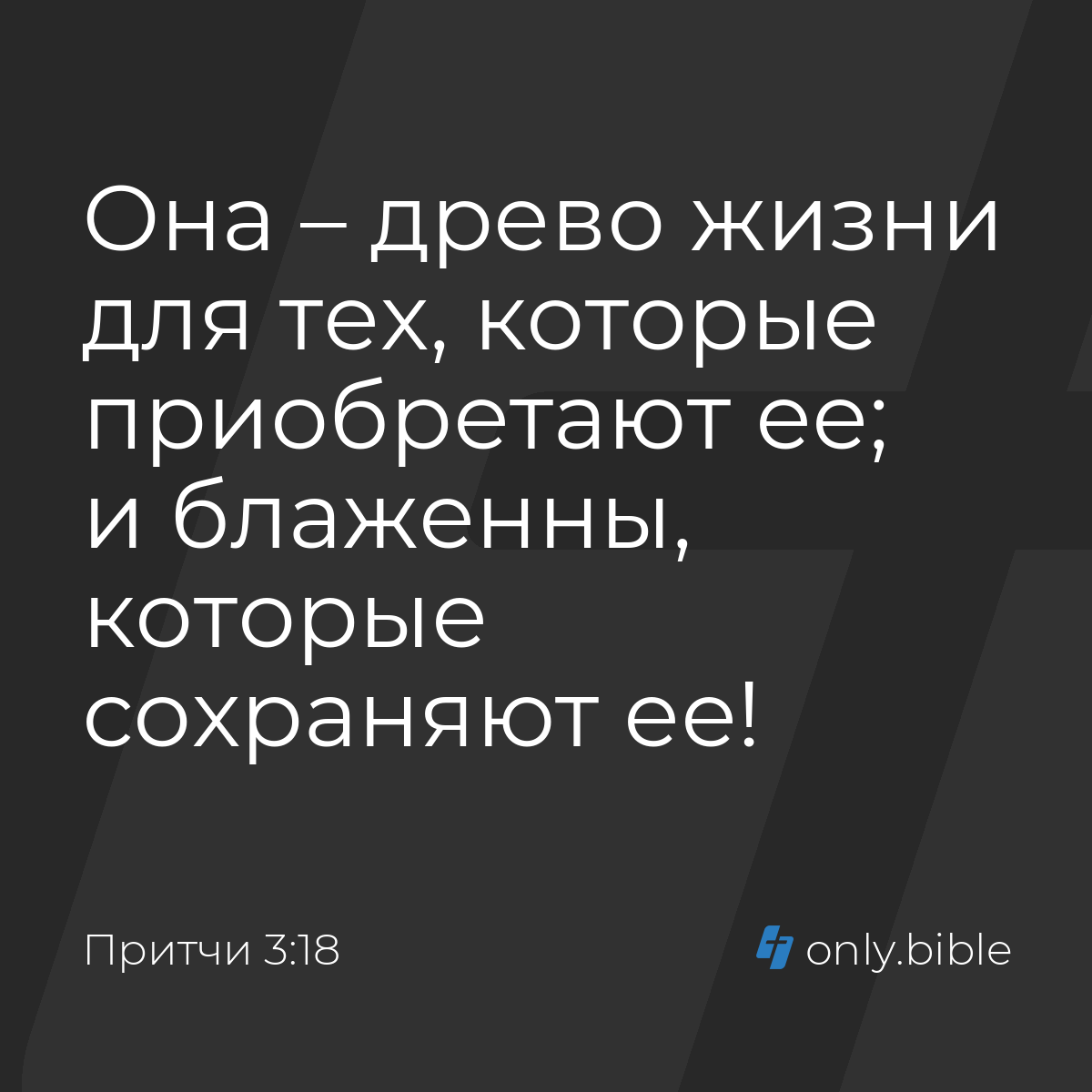 Притчи 3:18 / Русский синодальный перевод (Юбилейное издание) | Библия  Онлайн