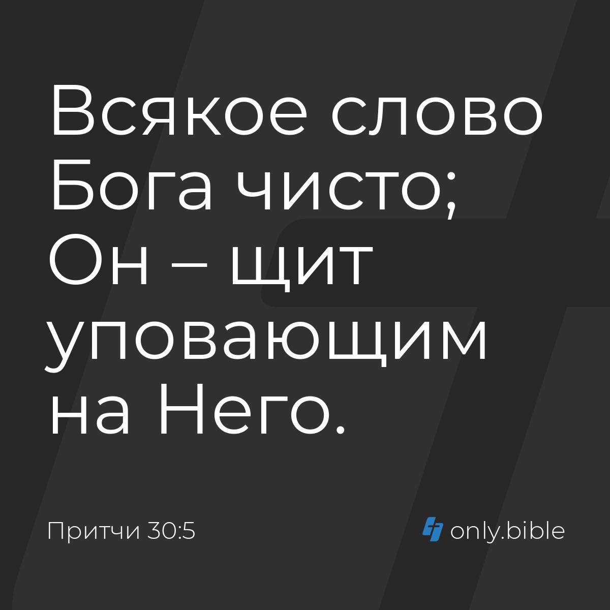 Притчи 30:5 / Русский синодальный перевод (Юбилейное издание) | Библия  Онлайн