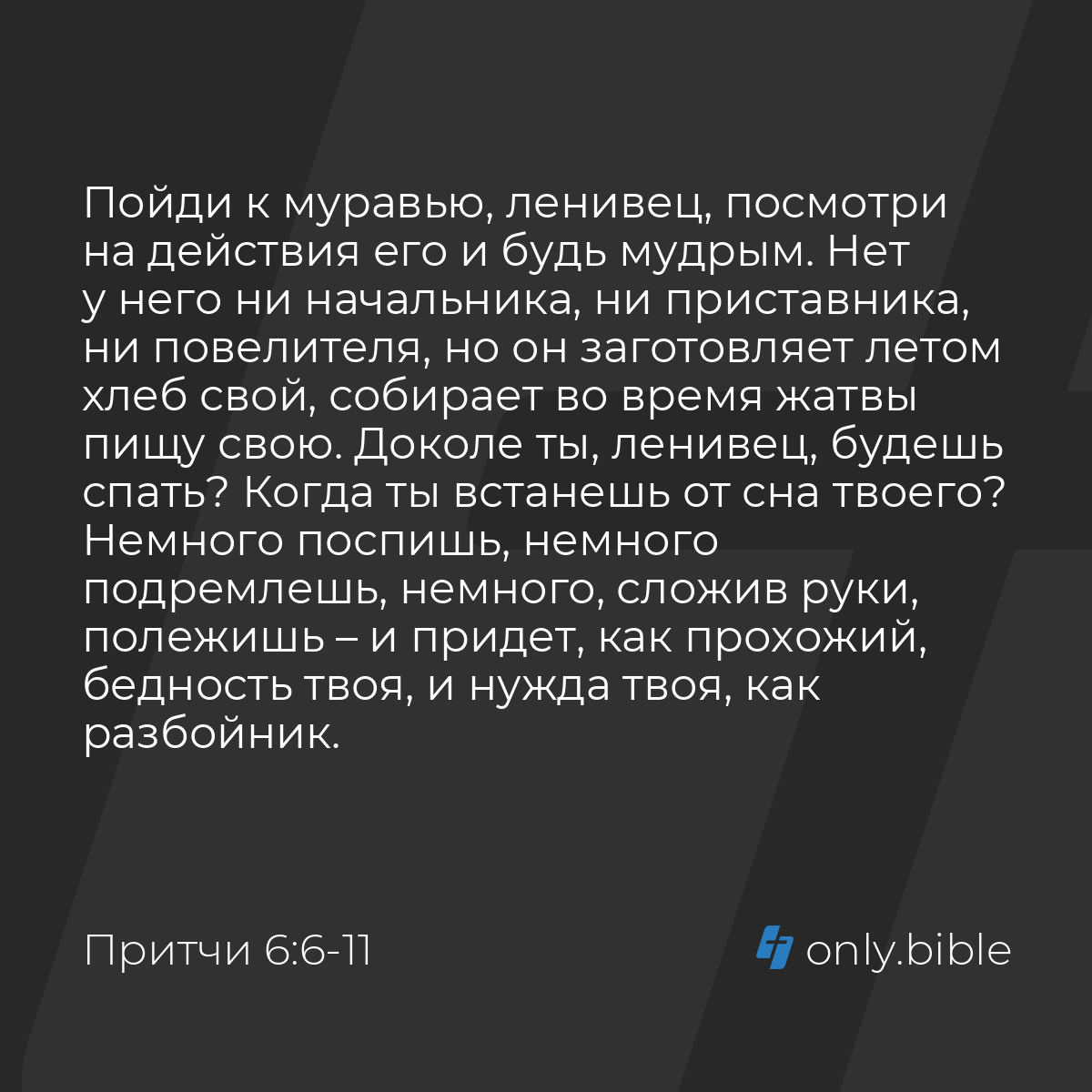 Притчи 6:6-11 / Русский синодальный перевод (Юбилейное издание) | Библия  Онлайн