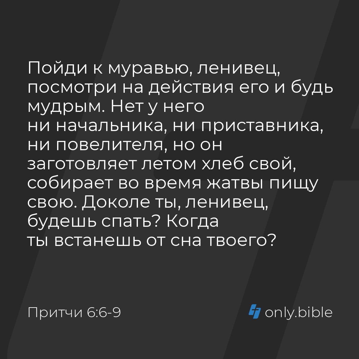 Притчи 6:6-9 / Русский синодальный перевод (Юбилейное издание) | Библия  Онлайн