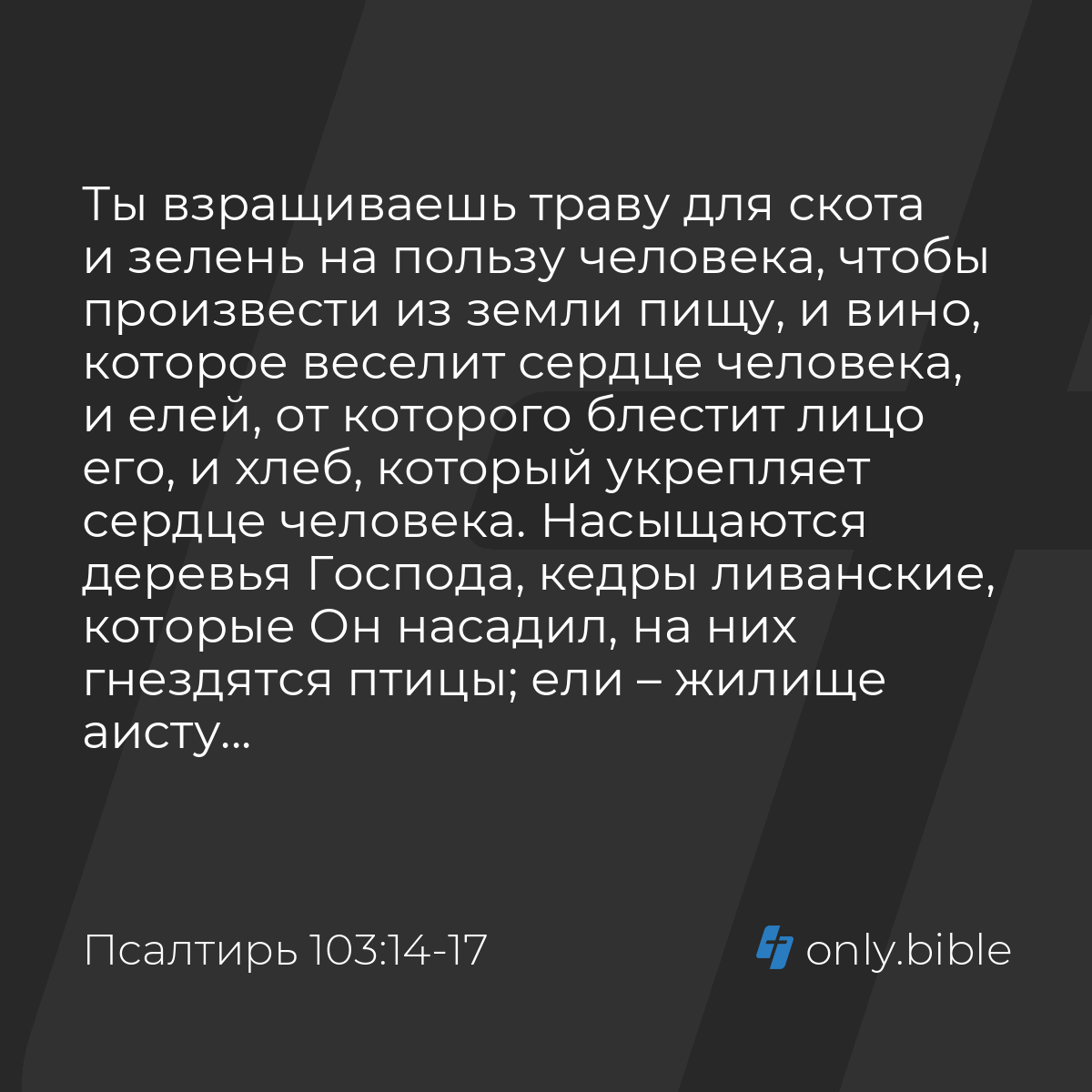 Псалтирь 103:14-17 / Русский синодальный перевод (Юбилейное издание) |  Библия Онлайн