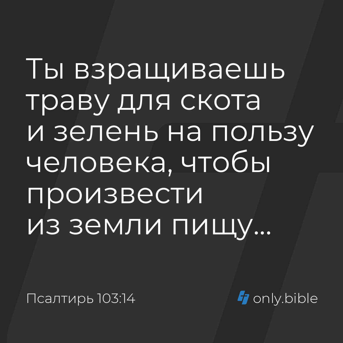 Псалтирь 103:14 / Русский синодальный перевод (Юбилейное издание) | Библия  Онлайн