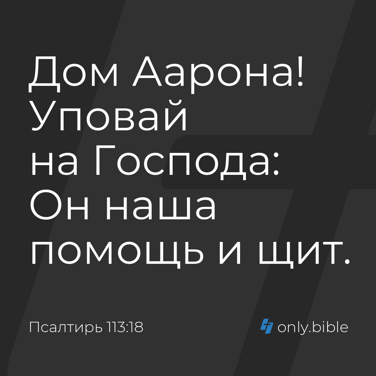 Псалтирь 113:18 / Русский синодальный перевод (Юбилейное издание) | Библия  Онлайн