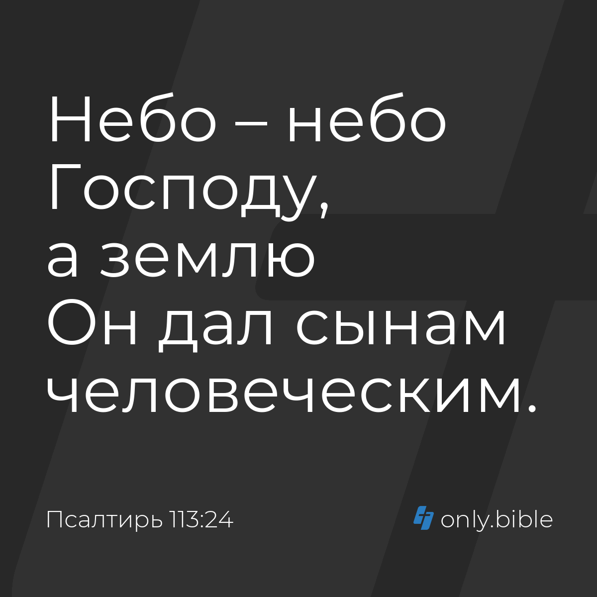 Псалтирь 113:24 / Русский синодальный перевод (Юбилейное издание) | Библия  Онлайн