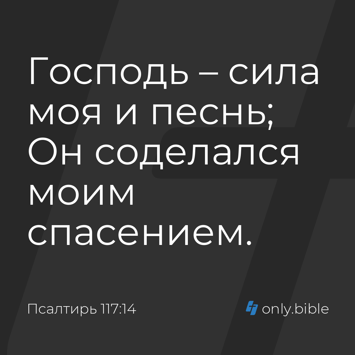 Псалтирь 117:14 / Русский синодальный перевод (Юбилейное издание) | Библия  Онлайн