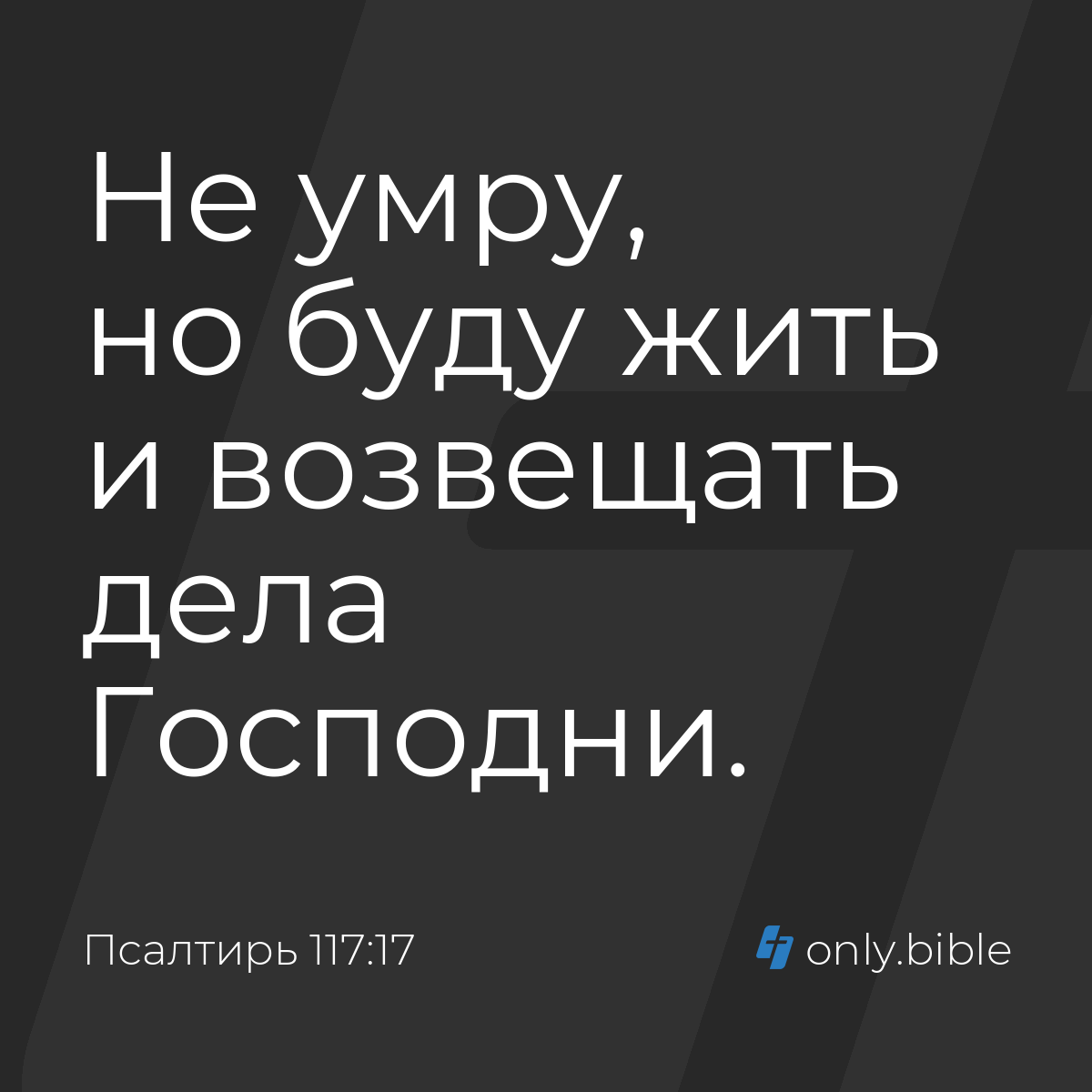 Псалтирь 117:17 / Русский синодальный перевод (Юбилейное издание) | Библия  Онлайн