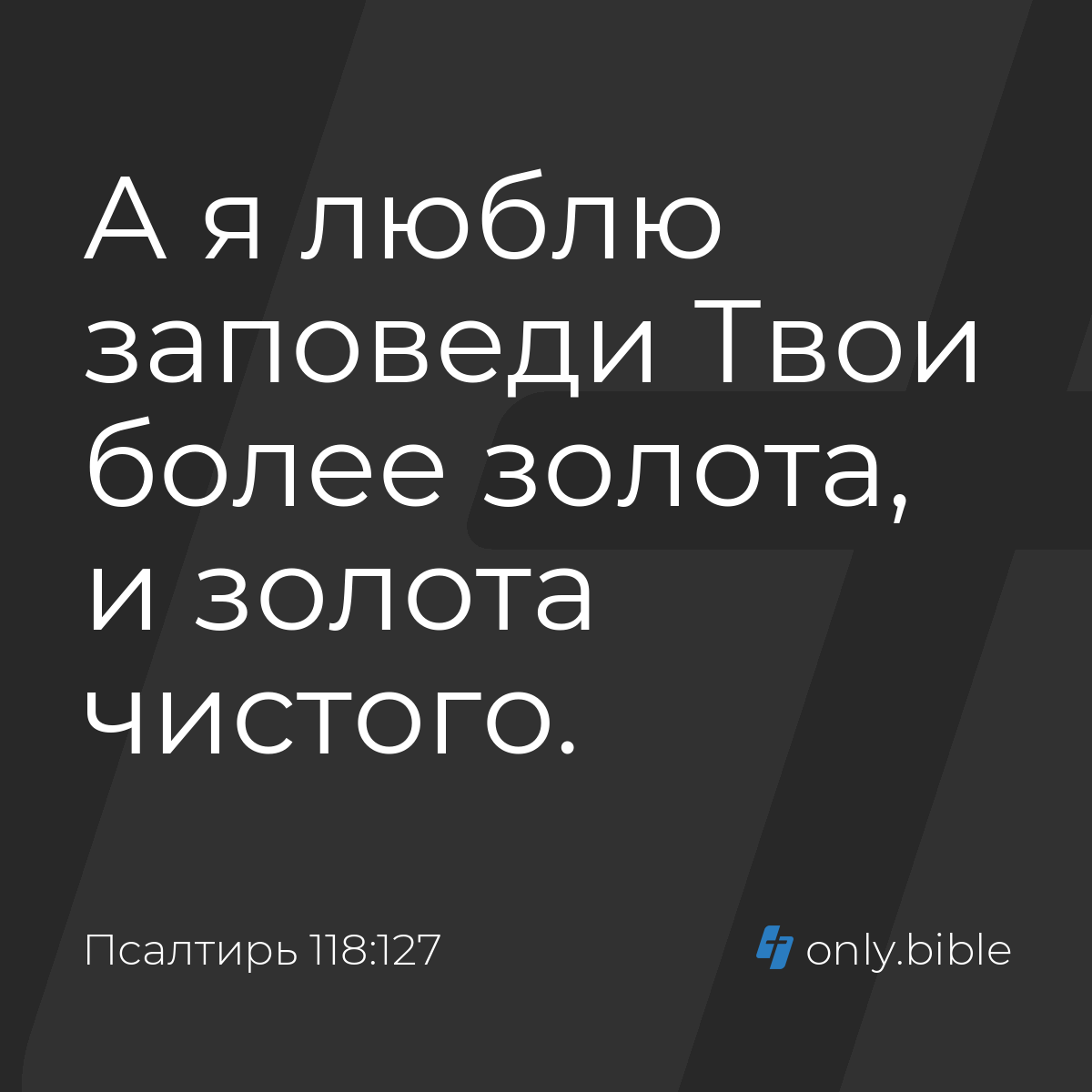 Псалтирь 118:127 / Русский синодальный перевод (Юбилейное издание) | Библия  Онлайн