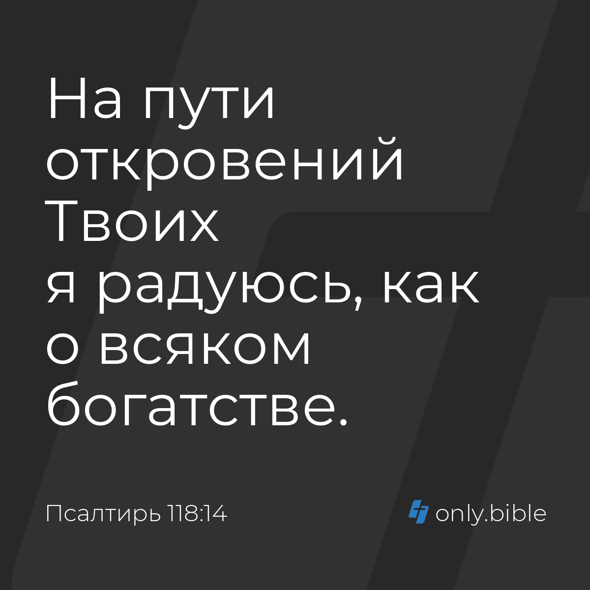 Псалтирь 118:14 / Русский синодальный перевод (Юбилейное издание) | Библия  Онлайн