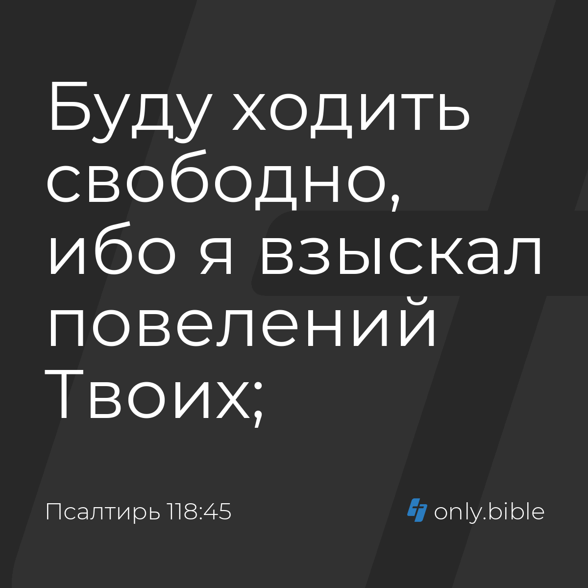 Псалтирь 118:45 / Русский синодальный перевод (Юбилейное издание) | Библия  Онлайн