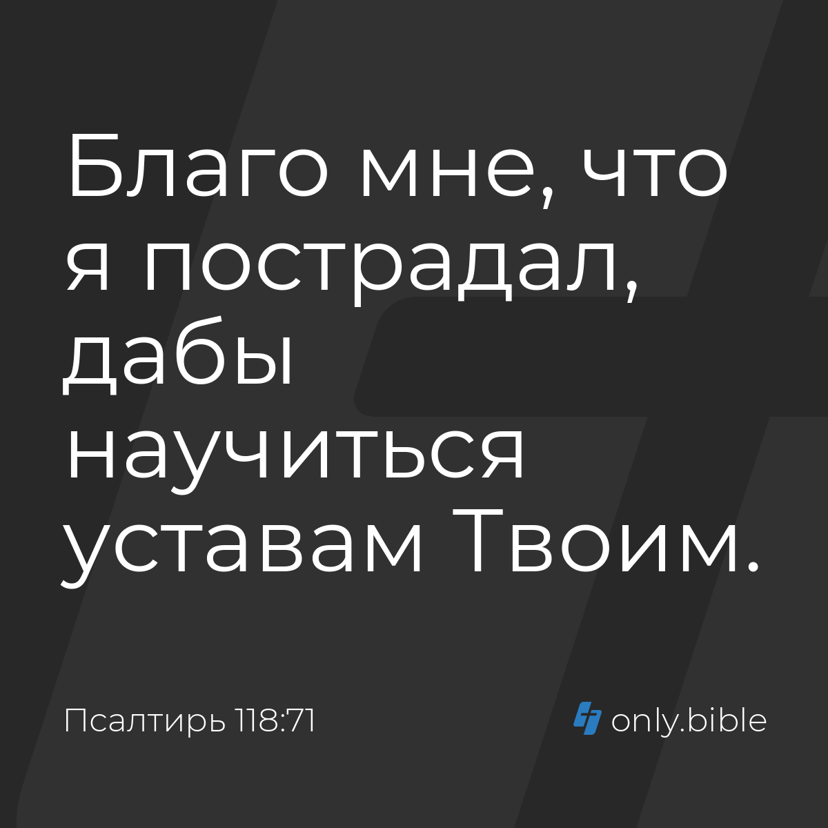 Құлпынай себетін торт