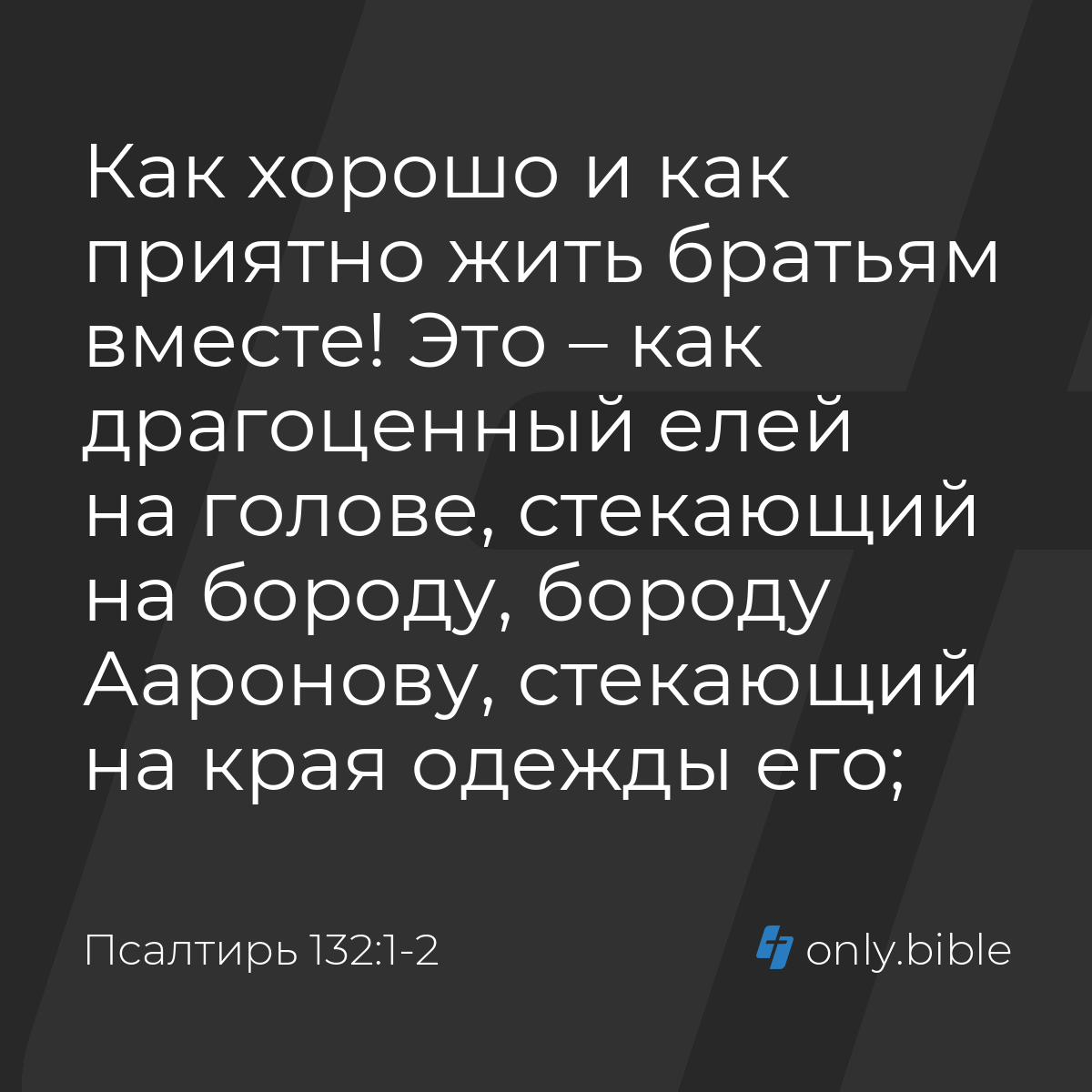 Жаңа порно оргия