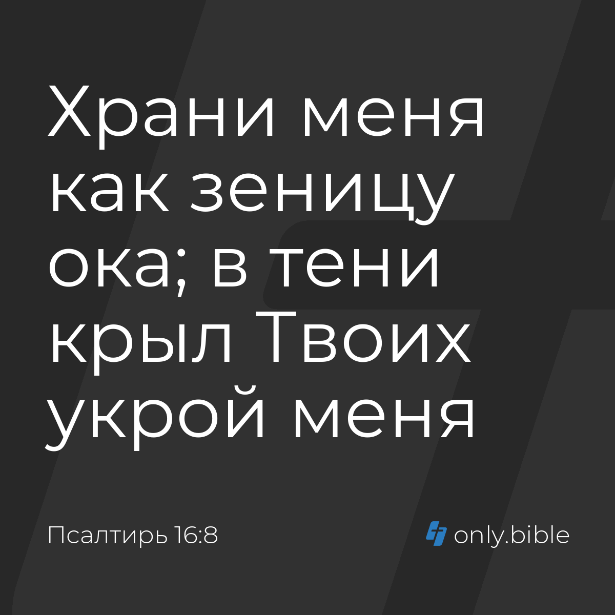 Бетпе-бет секс