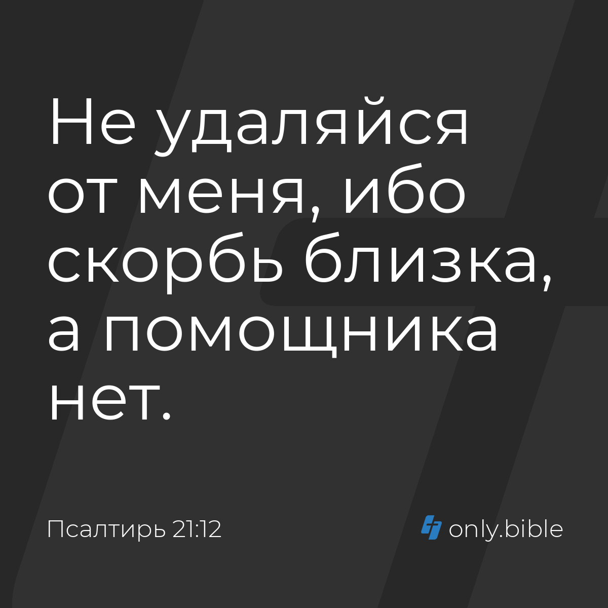 Эми Андерсон порно фильмдері Кішкентай порно
