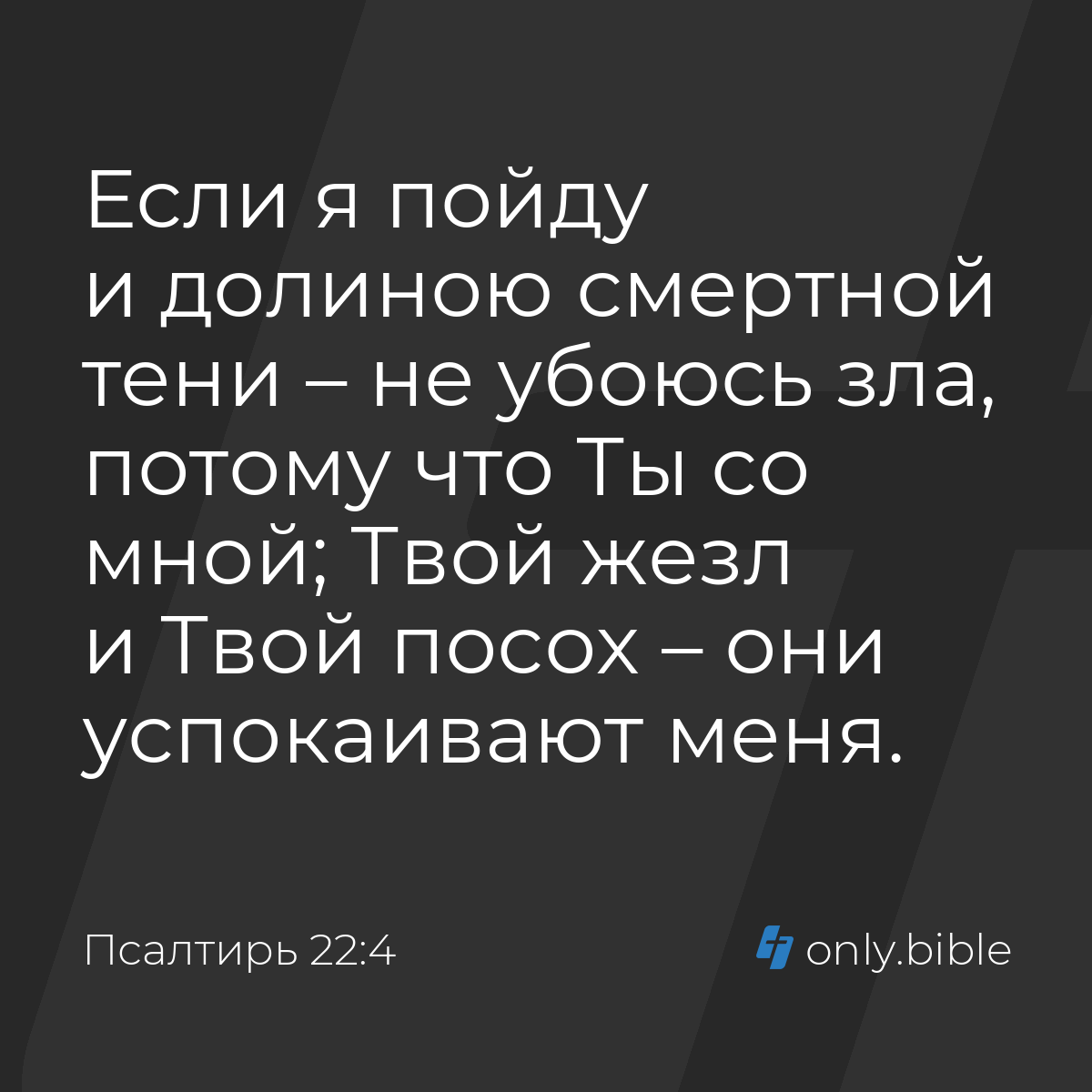 Псалтирь 22:4 / Русский синодальный перевод (Юбилейное издание) | Библия  Онлайн