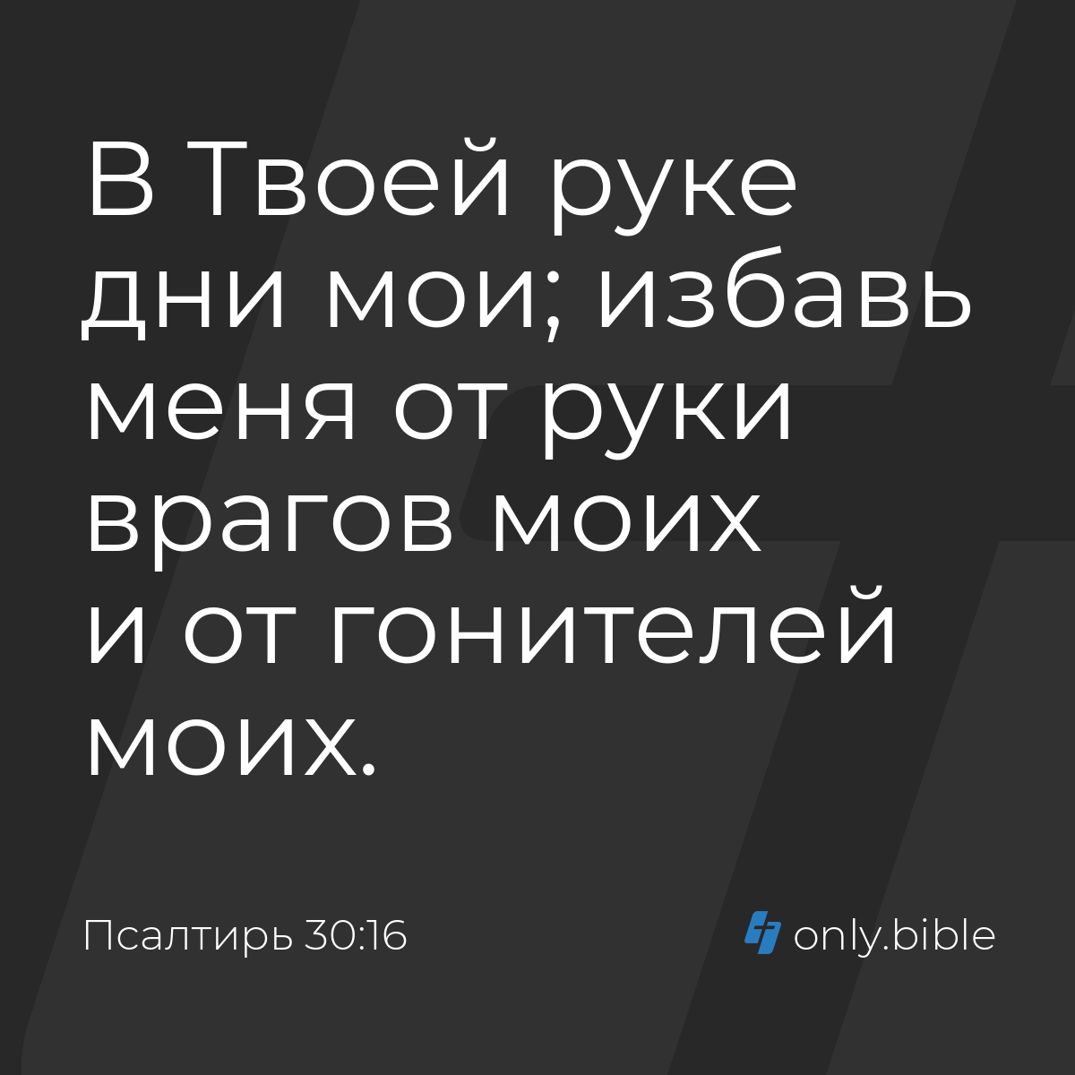 Порно фильмы Эротические фильмы