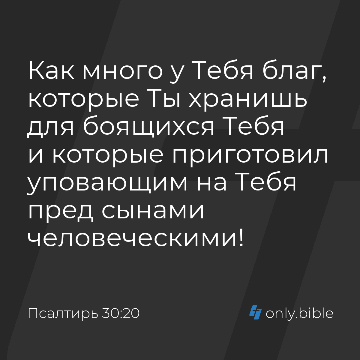 Псалтирь 30:20 / Русский синодальный перевод (Юбилейное издание) | Библия  Онлайн