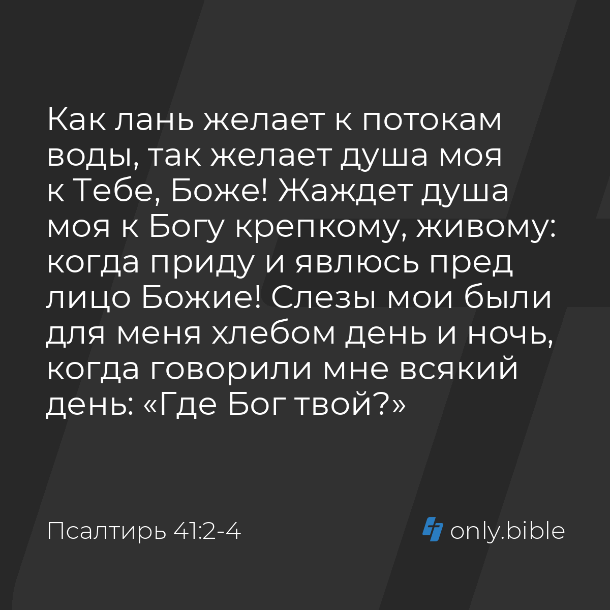 Псалтирь 41:2-4 / Русский синодальный перевод (Юбилейное издание) | Библия  Онлайн