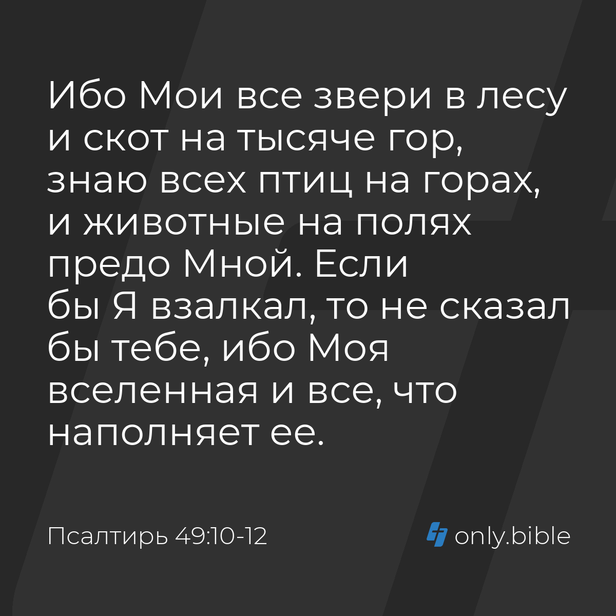 Псалтирь 49:10-12 / Русский синодальный перевод (Юбилейное издание) |  Библия Онлайн