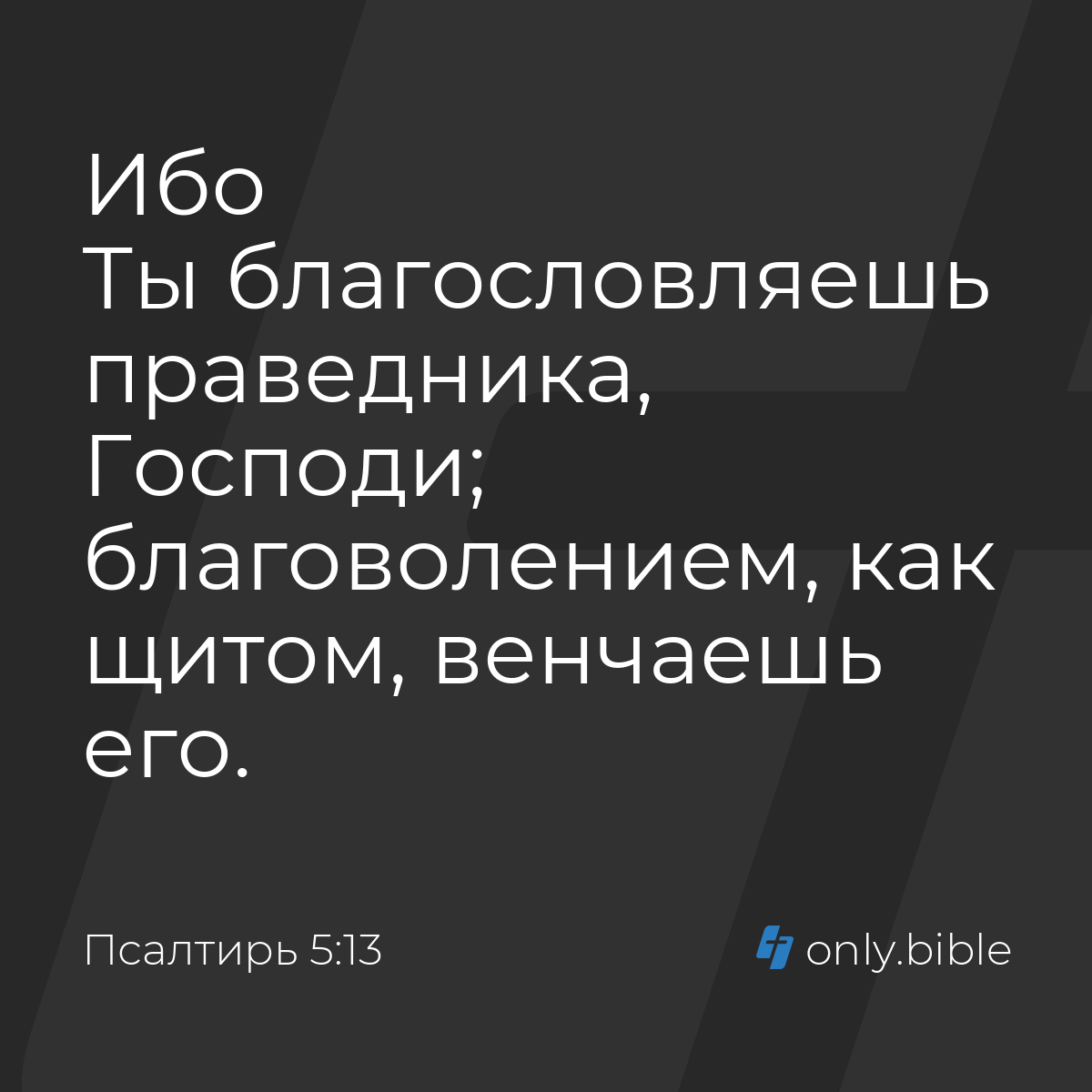 Псалтирь 5:13 / Русский синодальный перевод (Юбилейное издание) | Библия  Онлайн