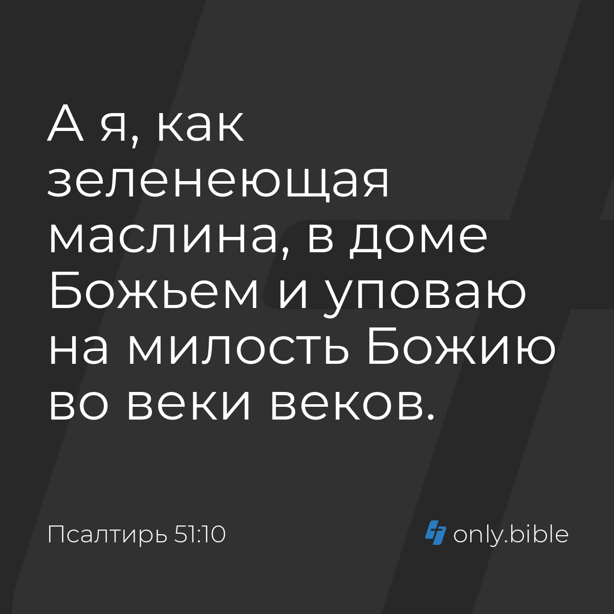 Псалтирь 51:10 / Русский синодальный перевод (Юбилейное издание) | Библия  Онлайн