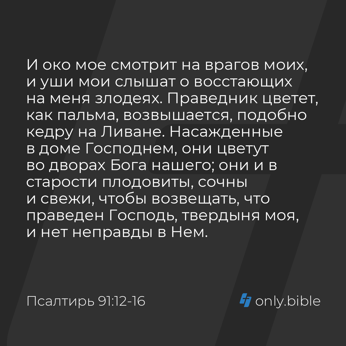 Псалтирь 91:12-16 / Русский синодальный перевод (Юбилейное издание) |  Библия Онлайн