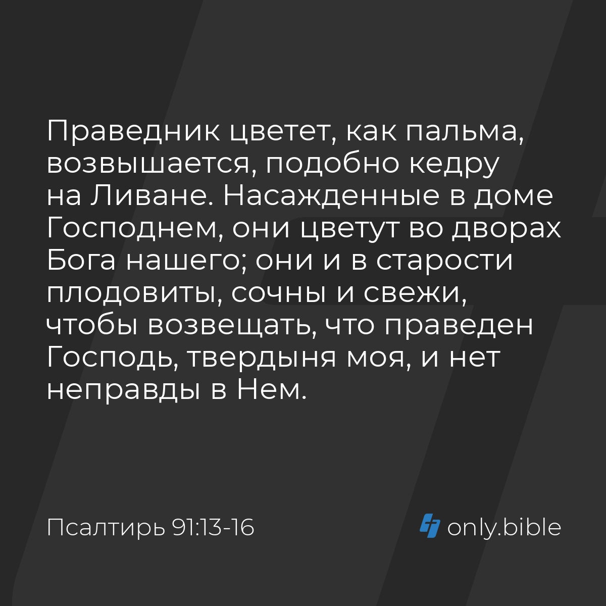 Псалтирь 91:13-16 / Русский синодальный перевод (Юбилейное издание) |  Библия Онлайн