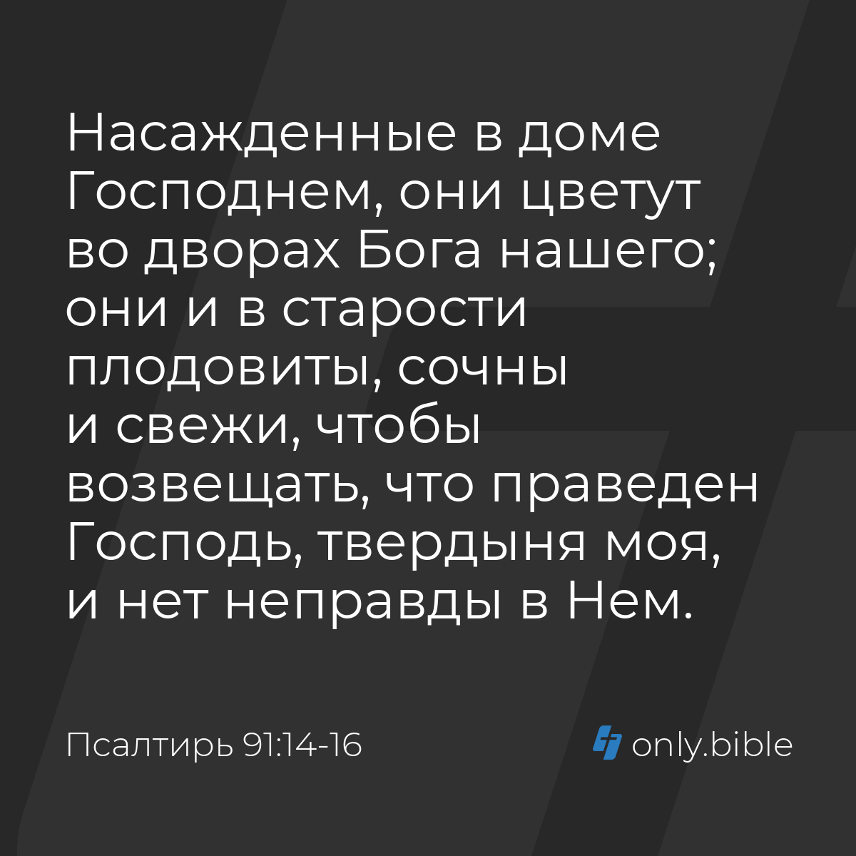 Псалтирь 91:14-16 / Русский синодальный перевод (Юбилейное издание) |  Библия Онлайн