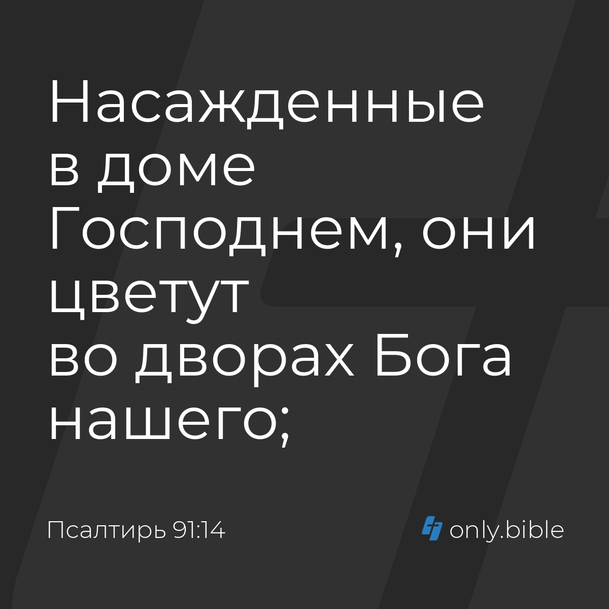 Псалтирь 91:14 / Русский синодальный перевод (Юбилейное издание) | Библия  Онлайн