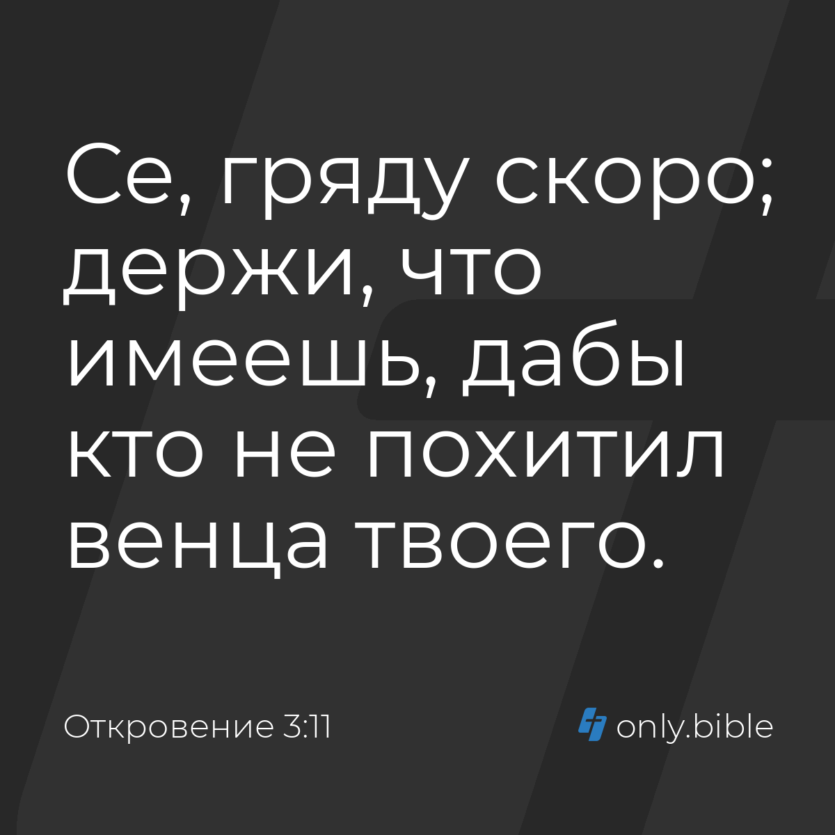 Письма в романе «Капитанская дочка»: отрывки из текста произведения