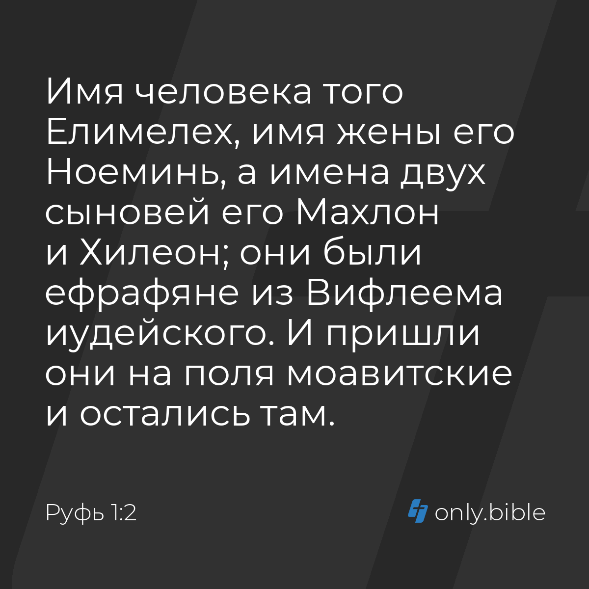 Руфь 1:2 / Русский синодальный перевод (Юбилейное издание) | Библия Онлайн