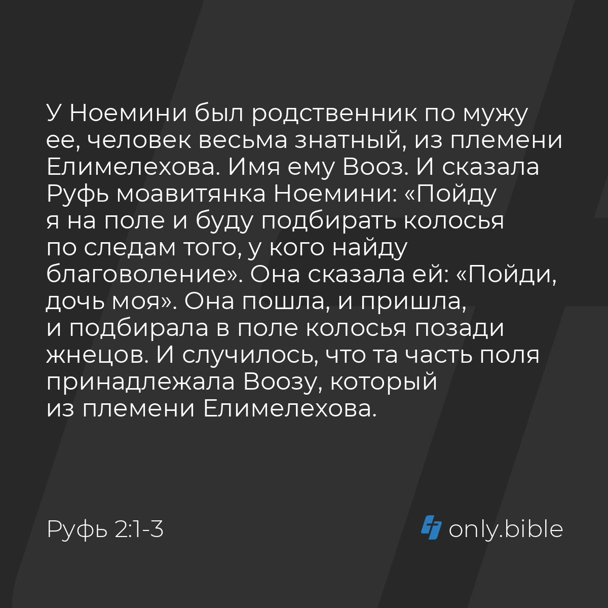 Руфь 2:1-3 / Русский синодальный перевод (Юбилейное издание) | Библия Онлайн