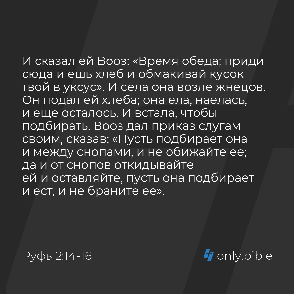 Руфь 2:14-16 / Русский синодальный перевод (Юбилейное издание) | Библия  Онлайн