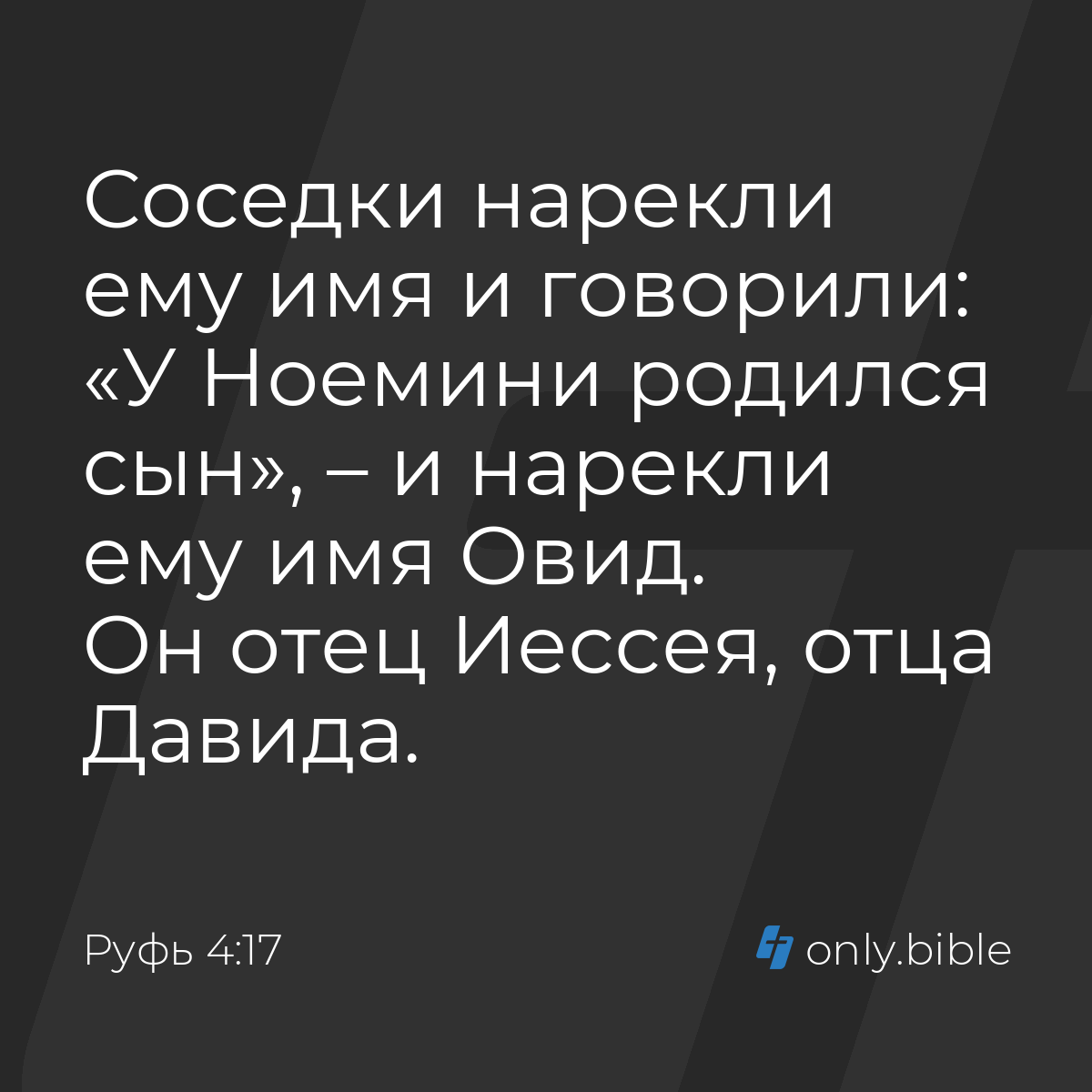 Руфь 4:17 / Русский синодальный перевод (Юбилейное издание) | Библия Онлайн