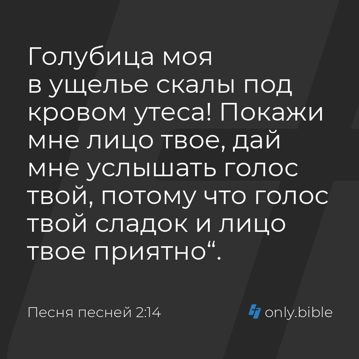 Песня песней 2:14 / Русский синодальный перевод (Юбилейное издание) |  Библия Онлайн