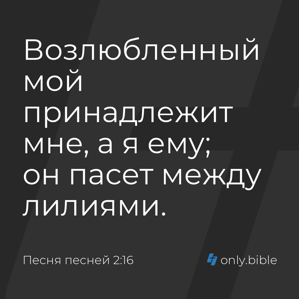 Песня песней 2:16 / Русский синодальный перевод (Юбилейное издание) |  Библия Онлайн