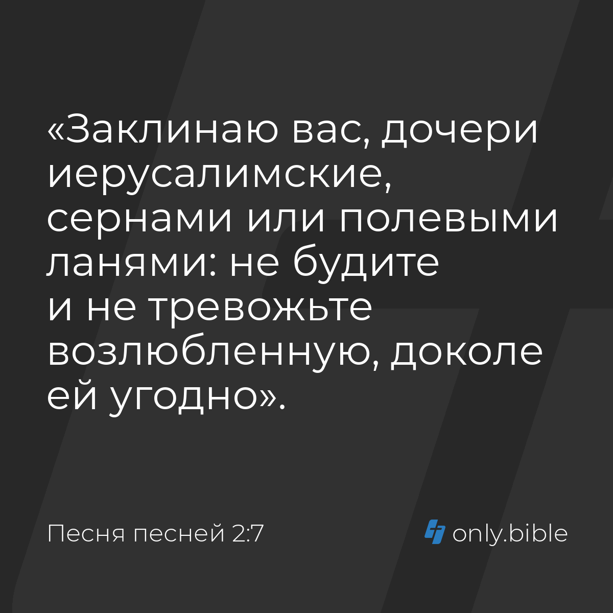 Песня песней 2:7 / Русский синодальный перевод (Юбилейное издание) | Библия  Онлайн