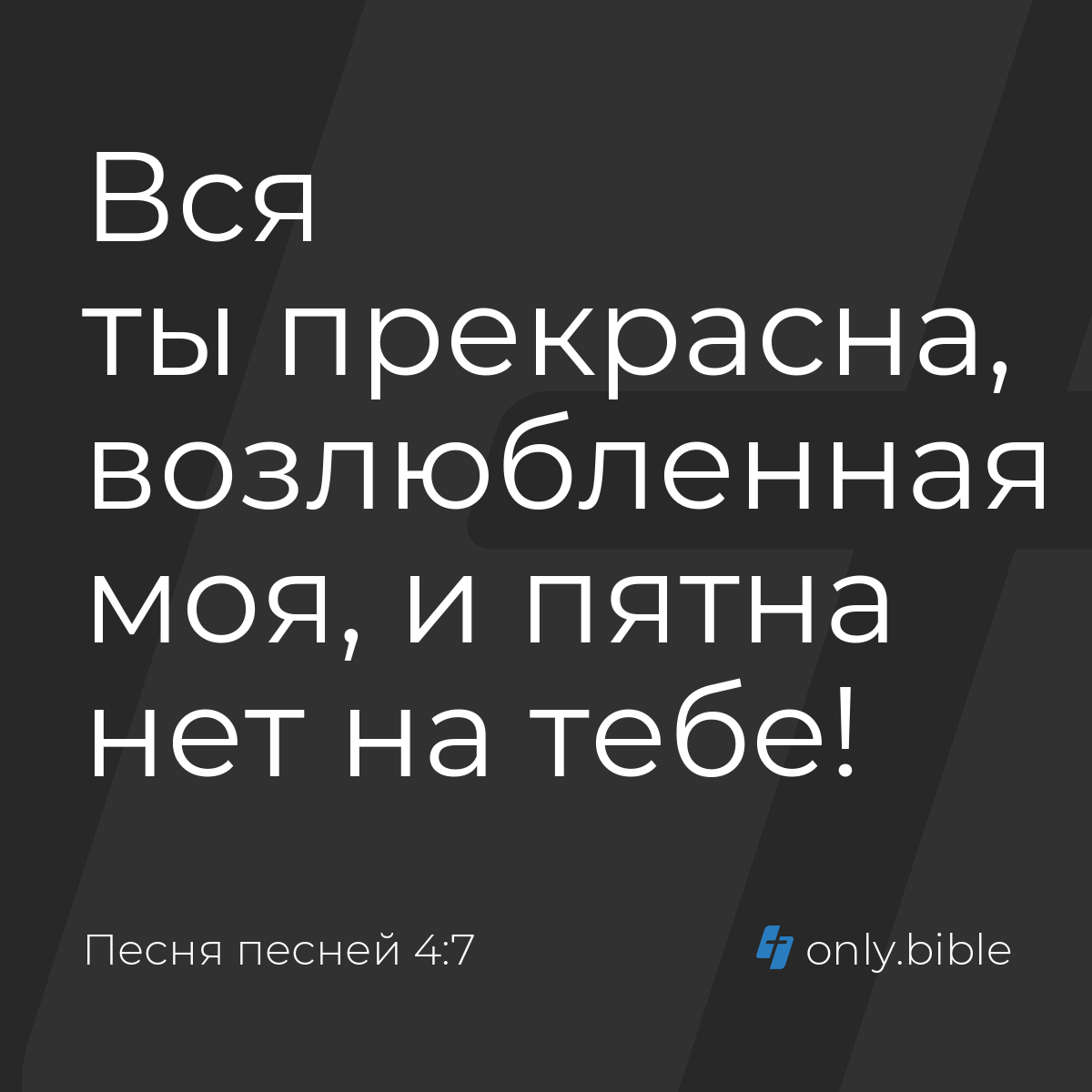 Песня песней 4:7 / Русский синодальный перевод (Юбилейное издание) | Библия  Онлайн