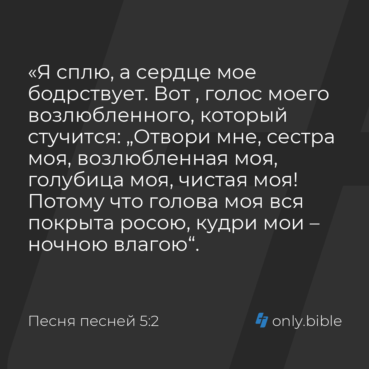 Песня песней 5:2 / Русский синодальный перевод (Юбилейное издание) | Библия  Онлайн